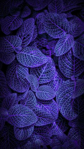 Blue Foliage HD IPhone Wallpaper  IPhone Wallpapers