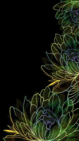 Amoled Flowers 4K IPhone Wallpaper  IPhone Wallpapers