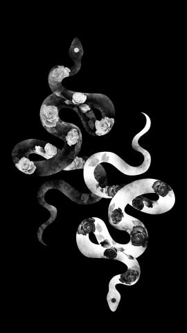 snake art | Snake art, Snake illustration, Snake wallpaper
