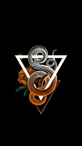 Snake Triangle IPhone Wallpaper  IPhone Wallpapers