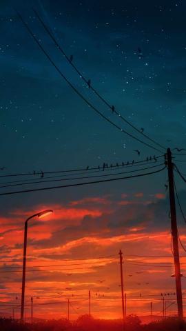 Sunset Birds IPhone Wallpaper  IPhone Wallpapers