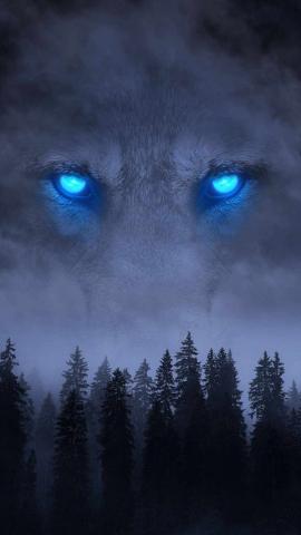 Wolf Forest IPhone Wallpaper  IPhone Wallpapers