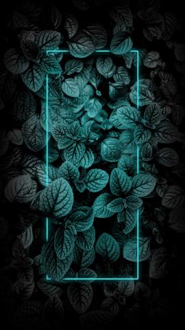 Foliage Neon IPhone Wallpaper  IPhone Wallpapers