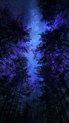 Night Trees Milky Way IPhone Wallpaper  IPhone Wallpapers