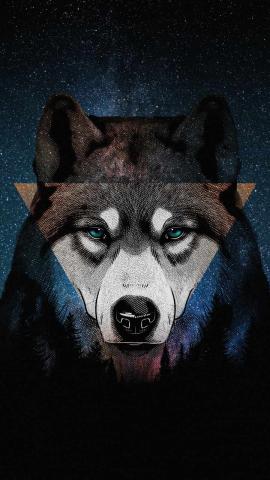 Wolf Triangle IPhone Wallpaper  IPhone Wallpapers