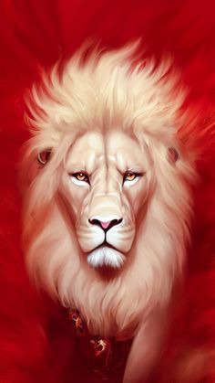 White Lion IPhone Wallpaper HD  IPhone Wallpapers