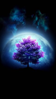 The Moon Tree IPhone Wallpaper HD  IPhone Wallpapers