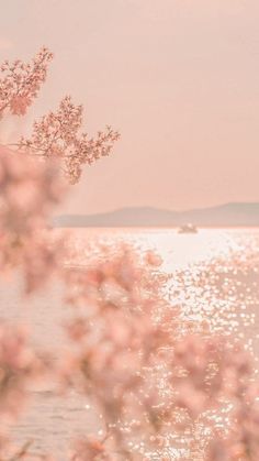 Aesthetic summer wallpaper iphone