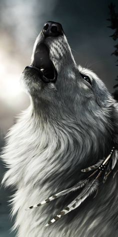Cool wolf