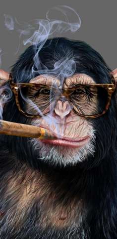Cigar monkey