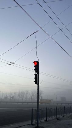 Signal Light Morning Mist