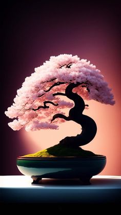 Bonsai Tree 4K