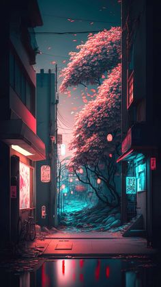 Night Streets