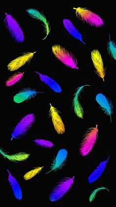 Multi Colour Feathers