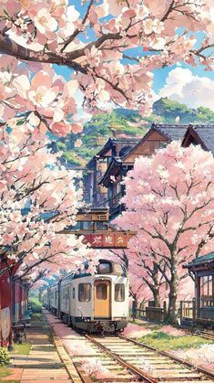 Cherry Blossom Trees Train Station Japan