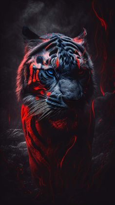 Tiger Red Art