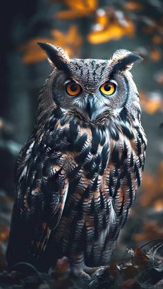 Forest Owl