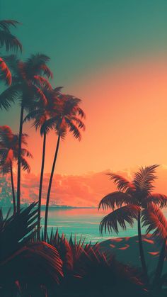 Sunset Palm Trees Florida