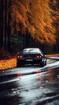 Autumn Car