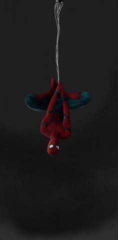 Spider tom upside down