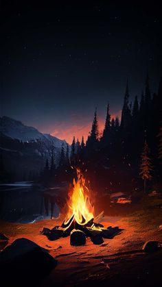 Camping Fire Forest