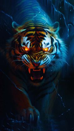 Tiger Predator