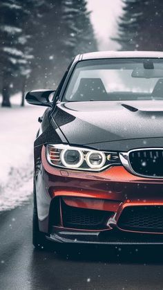 BMW Snow