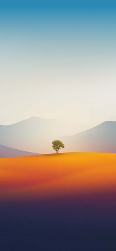Rancho Cucamonga Tree By BasicappleGuy IPhone Wallpaper 4K  IPhone Wallpapers
