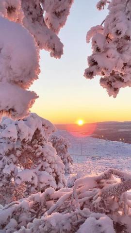 Winter Aesthetic Sunset