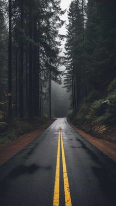 Forest Road iPhone Wallpaper 4K  iPhone Wallpapers
