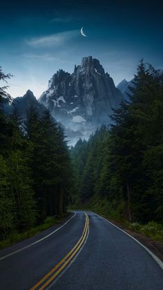 Forest Road to Mountains iPhone Wallpaper 4K  iPhone Wallpapers