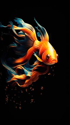 Fighter Fish iPhone Wallpaper 4K  iPhone Wallpapers