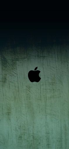 Apple Black Logo iPhone Wallpaper 4K  iPhone Wallpapers