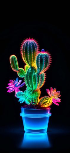Cactus Plant Amoled iPhone Wallpaper 4K  iPhone Wallpapers