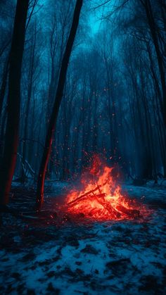 Ice Forest Bonfire iPhone Wallpaper 4K  iPhone Wallpapers