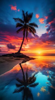 Sunset Beach Palm Tree Water Reflection iPhone Wallpaper 4K  iPhone Wallpapers