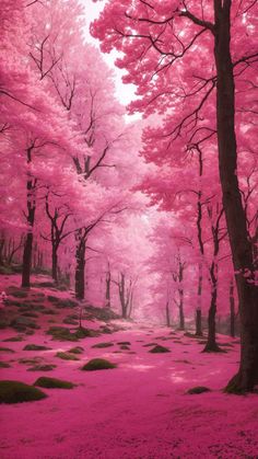 Pink Trees Forest iPhone Wallpaper 4K  iPhone Wallpapers