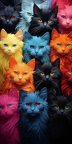 Colorful Cats iPhone Wallpaper 4K  iPhone Wallpapers