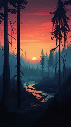 Mist Morning Sunrise Forest iPhone Wallpaper 4K  iPhone Wallpapers