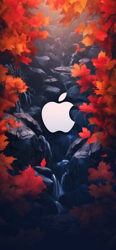 Apple Autumn iPhone Wallpaper 4K  iPhone Wallpapers