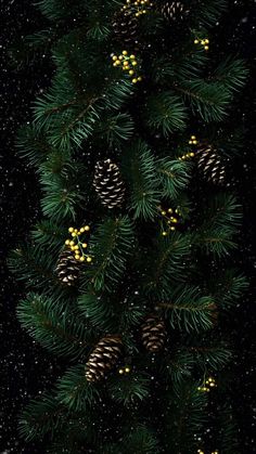Christmas Tree Branches iPhone Wallpaper 4K  iPhone Wallpapers