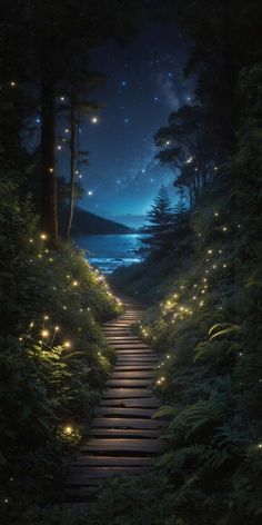 Pathway to Nature iPhone Wallpaper  iPhone Wallpapers