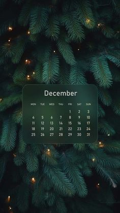 December Calendar  iPhone Wallpapers
