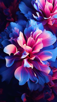 Flowers OLED  iPhone Wallpapers