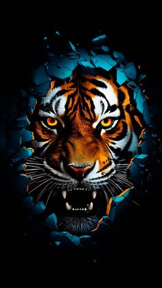 Tiger Anger iPhone Wallpaper  iPhone Wallpapers