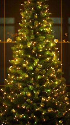 Christmas Tree LED iPhone Wallpaper  iPhone Wallpapers