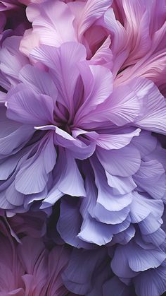 Flower Bloom  iPhone Wallpapers