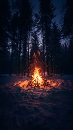 Campfire in Winter iPhone Wallpaper  iPhone Wallpapers