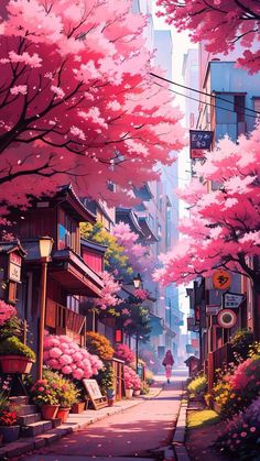 Cherry Blossom Tree Road  iPhone Wallpapers