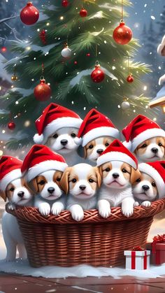 Christmas Puppies iPhone Wallpaper  iPhone Wallpapers